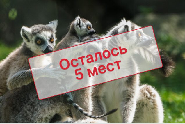 Тур на Мадагаскар из Израиля в организованной группе